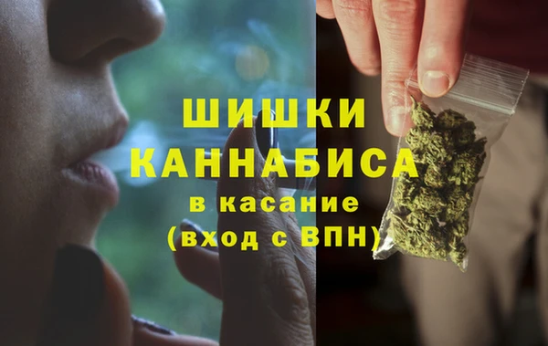 крисы Карпинск