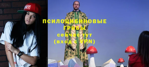 эйфоретик Касимов
