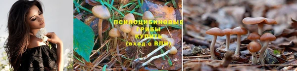 крисы Карпинск