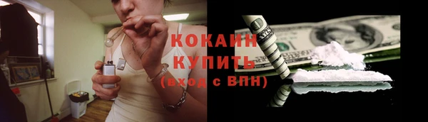 крисы Карпинск