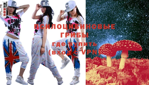 эйфоретик Касимов