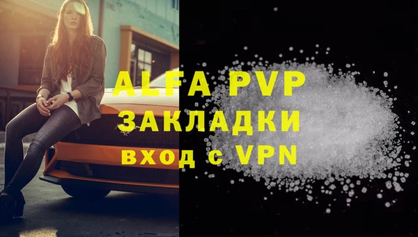 эйфоретик Касимов